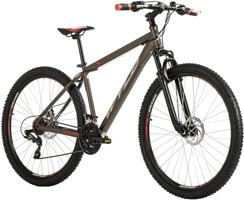 WYLD Mountainbike Hardtail 29'' Sharp Platin-grau 21 Gänge (51 cm)