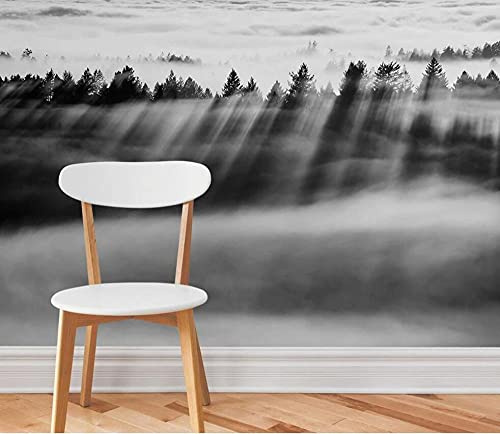 Papier Peint Panoramique Paysage De Nuages De Forêt Noir Et Blanc Papier Peint Intissé 3D Tapisserie Poster Murale Décoration Chambre Salon -LIWALLPAPER- 200x140cm