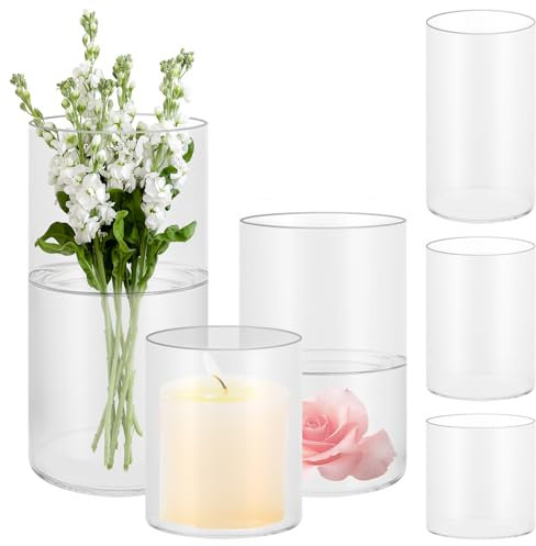 APACALI 6 jarrones de cristal grandes, 10/15/20 cm de alto, cilíndricos, jarrones de cristal transparente, redondos, estrechos, jarrones de cristal transparente para orquídeas, rosas, tulipanes,