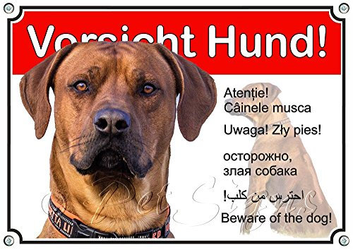 Petsigns Hundeschild - Rhodesian Ridgeback - Metall Warnschild - wetterfest, DIN A3