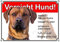 Petsigns Hundeschild - Rhodesian Ridgeback - Metall Warnschild - wetterfest, DIN A3