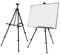 Blanc Artiste Telescopique Champ Studio Chevalet de Peinture Trepied Presentoir