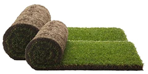 PetGround, Gazon 100% Naturel, Recharge Pack, Ecologique, Tapis olfactif, Inodore, Taille XXL (80x80cm)