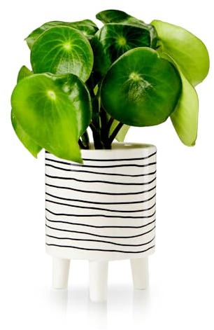 KHG Übertopf 12 cm Durchmesser, Weiß mit Zebra-Streifen, 3 Beinen, 12x12 cm Blumentopf rund verspielt aus Dolomite-Gestein Keramik, Pflanzenkübel klein glänzend, Glatte Oberfläche, runde Kanten