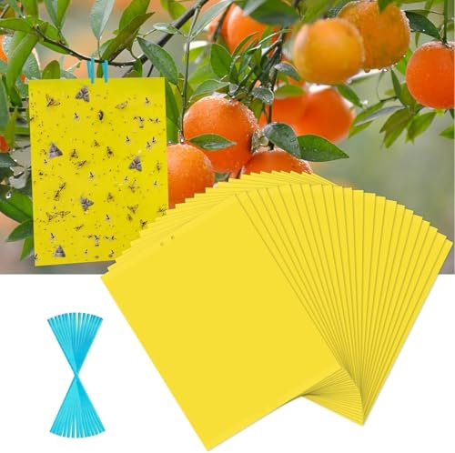 Pafnisoin Attrape Moucheron Collant 20 pièces Grand Pièges à Insecte 25cm × 20cm Piège à Mouches pour Moustiques, Pucerons, Nématodes