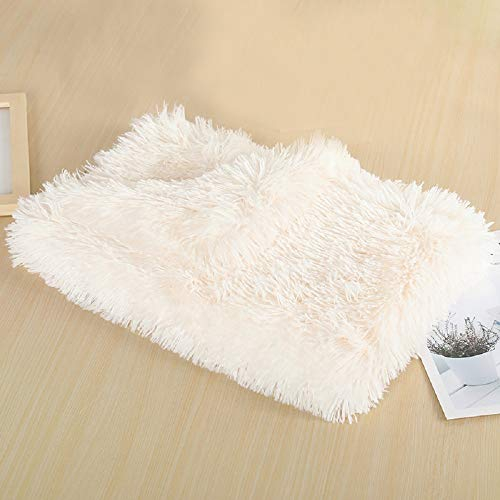 Dricar Doppeilseitige Super Softe Warme Hundedecke, Flauschige Hundedecke Waschbar, Extra Dicke und Weiche Haustierdecke für Hundebett, Couch, Sofa, Es gibt DREI Größenoptionen (100 * 75CM, Weiß)