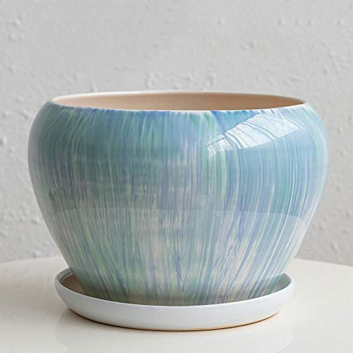 Maceta grande de cerámica estilo chino con platillo, maceta de terracota transpirable para cactus y orquídeas