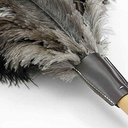 PLUMEAU Medium 4 COURONNES