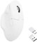 Keychron M7 Souris Optique de Jeu sans Fil, tri-Mode 2,4 GHz/Bluetooth 5.1/Filaire, capteur PixArt 3395, 26 000 DPI, Bouton Macro Ergonomique léger programmable 63 g pour Windows PC/Mac – Blanc