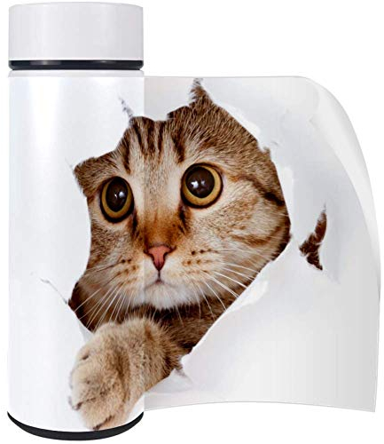 Gourde isotherme en acier avec chat britannique