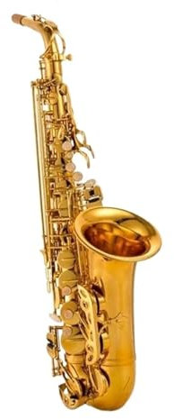 Saxophone Professionnel Altsaxophon Es-Saxophon Blasinstrument Anfänger Leistungsniveau Doppelrippe Große Mündung