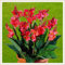 Bulbes de lys Canna Jumbo : créez une superbe décoration de jardin avec ces favoris vivaces - 2 bulbes-E