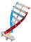 VICASKY 1Satz DIY DNA Doppelhelix Modell Wissenschaftliches Für Pädagogisches DNA Modell Für Biologieunterricht Lehrmittel Für Experimente Und Lernspiele