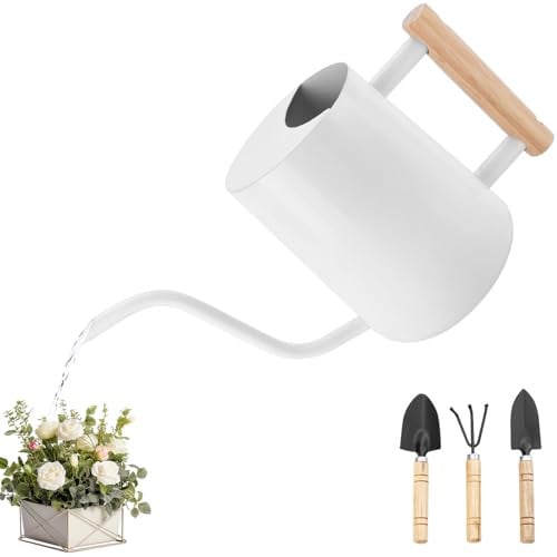 JOTOL Annaffiatoio 1L,Annaffiatoio Piccolo in Acciaio Inox con Beccuccio Lungo e Attrezzi da Giardinaggio,Annaffiatoio per Piante da Interno,Innaffiatoio per Casa,Piante,Bonsai All'aperto,Fiori