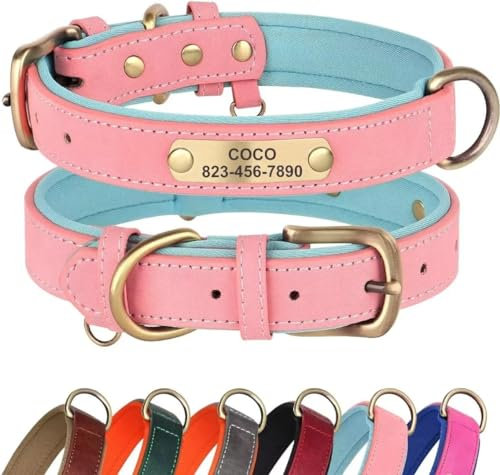 Didog Hundehalsband aus Leder, personalisierbar für kleine, mittelgroße und große Hunde, weich gepolstert, strapazierfähig, mit graviertem Namensschild, Rosa, Größe M