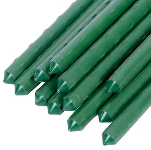Green Garden Plant Stakes, Garden Canes Plastic Coated Steel Tube Garden Stakes, Plant Support Sticks, Coated Steel Shrub/Vine Support Spikes, 8mm x 75cm (20)