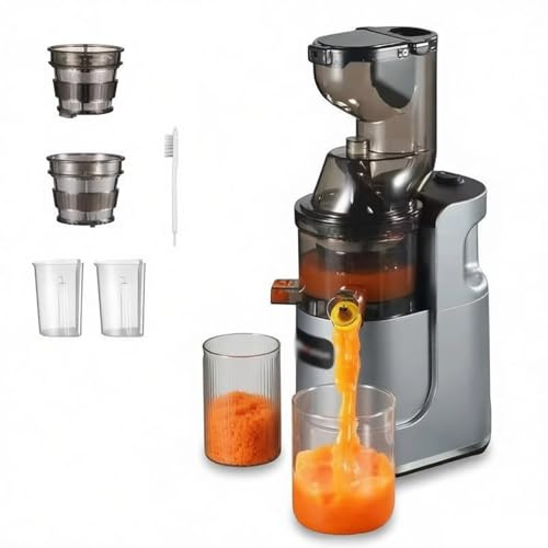 Kaltpress-Entsafter für Obst und Gemüse, 70 mm Futterschacht, inklusive Entsaften und Eiscreme-Filtern, leicht zu reinigen, perfekt für gesunden Saft und gefrorene Leckereien
