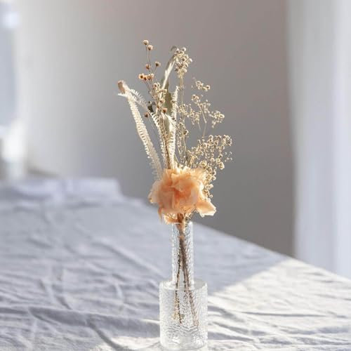Lykke & You Trockenblumenstrauß Tischdeko apricot Größe 20 cm, Verpackungseinheit 8X, Farbe apricot
