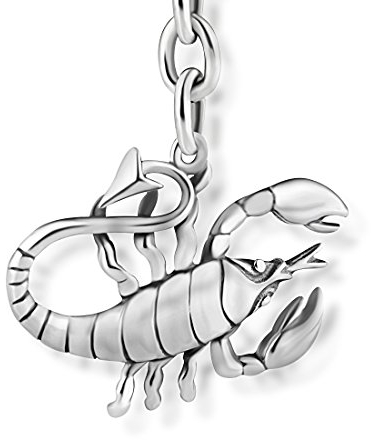 STERLL Herren Schlüsselanhänger Sternzeichen Skorpion Aus Hochglanzpoliertem 925 Silber