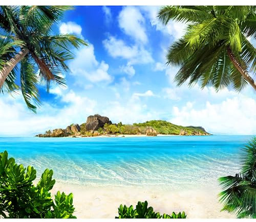 decomonkey - Papier Peint Panoramique Plage Mer 350x256 cm - Décoration murale moderne – Tapisserie décorative pour chambre salon - Été mer nature bleu palmiers paysage plage eau