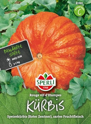 Sperli 81381 Kürbis Rouge trés hâtif d'Etampes (Kürbissamen)