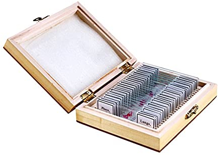 OPTICON - 25 Mikroskop-Präparate I für Menschliche Anatomie I auf Glas I im verschließbaren Holzkasten I Enthält die Wichtigsten Körperteile I für Schulunterricht und Studium I Sehr Hochwertige