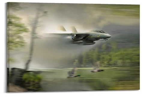 HAYZE Vintage Militärflugzeug Poster F-14 Tomcat Fighter Dekorative Leinwand Wand & Kunst Poster Gemälde 60 x 90 cm