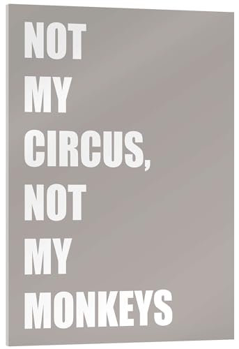Posterlounge Not My Circus, Not My Monkeys Acrylglasbild von Typobox 30 x 40 cm Grau Typografie Wanddeko