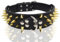 Ruiqas Collar de perro con pinchos de 2 pulgadas de ancho ajustable para perros medianos y grandes