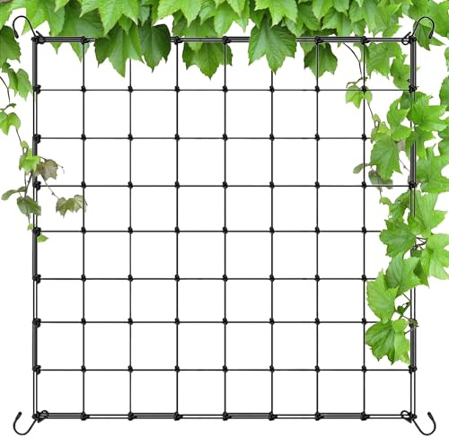 Wachsen Zelt Netz Growzelt Elastisches Ranknetz 80x80 mit 4 Haken für Kletterpflanzen