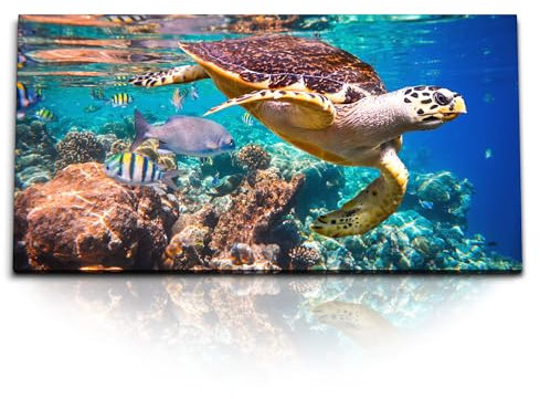 Paul Sinus Wandbild 120x60cm – Meeresschildkröte im Korallenriff: Faszinierende Unterwasserwelt auf hochwertiger Leinwand für einzigartige Wanddekoration