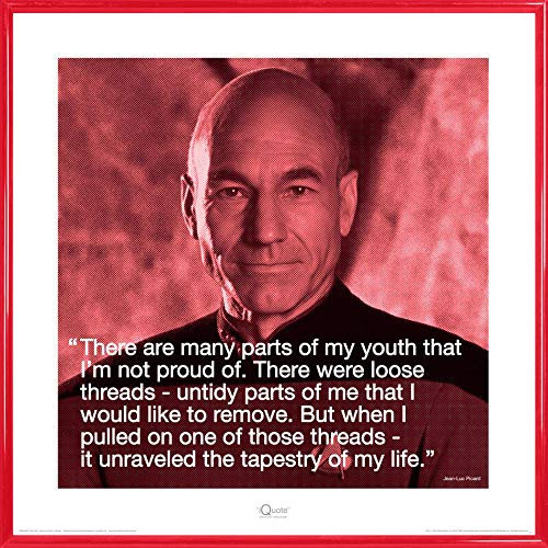 1art1 Star Trek Poster Kunstdruck Bild und Kunststoff-Rahmen - Jean-Luc Picard Zitat (40 x 40cm)