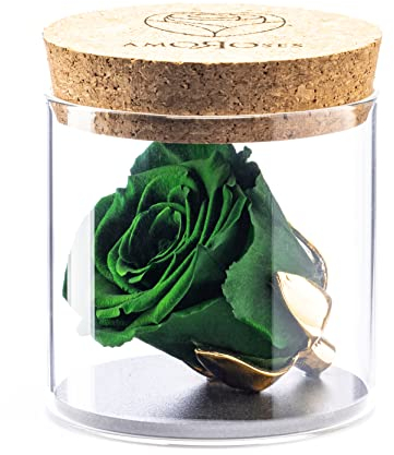 Amoroses Bijou - Rosa Stabilizzata Eterna con calice placcato oro 24K in barattolo di vetro | Idea Regalo (Rosa Verde Foresta)