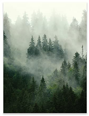 Poster Wald Nebel Natur 30x40 cm Hochformat - OHNE RAHMEN XXL Wandposter Kunstdruck Fotoposter Wandbild Wandbilder Wand Bild auf Poster Wohnzimmer Schlafzimmer Küche