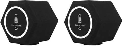 Deechate 2X C2 Microphone -Filter Wind Shield Acoustique pour Les Studios D'Enregistrement Mic Mousse Insonorisante Boule D'Isolation Vocale