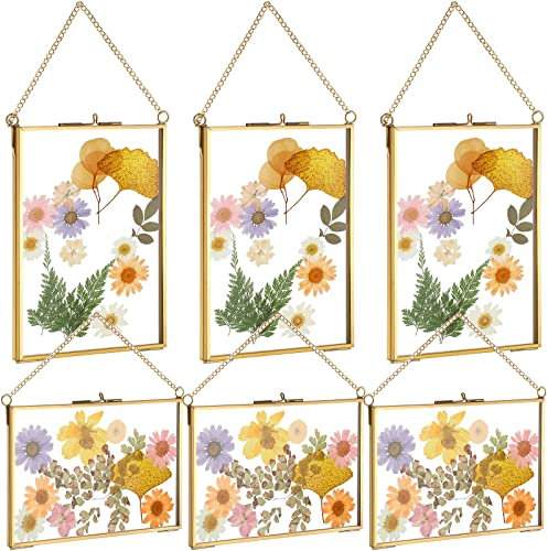 6 Stück Messing Doppelglas Rahmen 12,7 x 17,8 cm Gold Schwimmend Hängend Bilderrahmen Klar Horizontal und Vertikal Pressed Flower Frames with Chain for Gallery Pictures Vintage Artwork Display