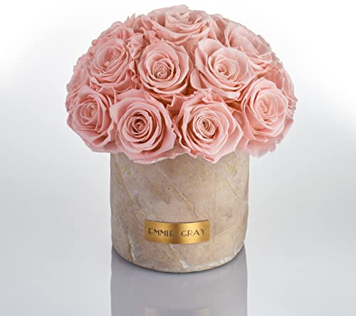 Solid Infinity Collection Golden Sand - Traumhafte Infinity Rosen, 1-3 Jahre haltbare Rosen, Betonvase mit echten, konservierten Rosen, edle Premiumrosen - Größe M (Antique Pink)