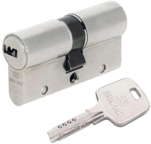 Bricard 18003 Cylindre de serrure double entrée Serial Xp 35+35 Nickelé