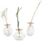 LUUK LIFESTYLE Lot de 3 vases en Verre Boule, Design Minimaliste Rond, Oval, Ensemble décoratif, Style Vintage, Support en Bois, Encolure en Laiton doré