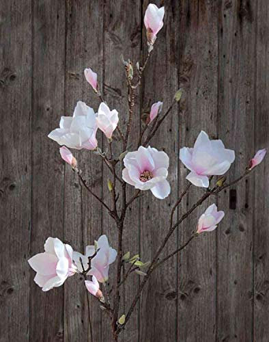 artplants.de Magnolienzweig künstlich YONA, weiß-rosa, 130cm - Kunst Magnolia/Kunstblume Magnolienzweig
