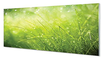 Tulup Rückwand Küchenrückwand Wand 125x50cm Gehärtetem Glas Wassertropfen Dekoration Küche - Grass Tautropfen