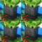 Upgraded Aquarium Plant Holder with Hooks and Suction Cups for Fish Tank Aquaponic Plants Cultivation and Aquascape Decorations (Black)
