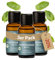 Heldengrün® BIO Pfefferminzöl [100% NATURREIN] - Reines Pfefferminzöl zum Verzehr - Frisch, belebend & klar - Minzöl aus Griechenland - Peppermint Oil - 3 x 30 ml
