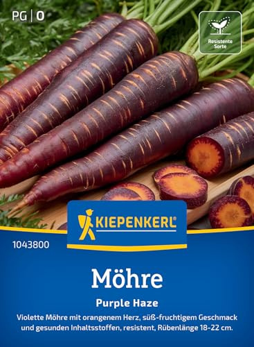 Kiepenkerl Möhrensamen Purple Haze 1043800, Gemüsesaat