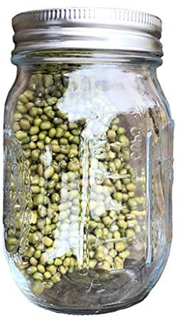 Ksikdeg Keimglas mit 304 Edelstahl-Siebdeckel, breite Öffnung, Keimer, Keimer, für Bio, Alfalfa, Mungbohnen