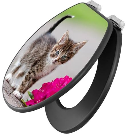 banjado Toilettendeckel anthrazit mit Absenkautomatik - WC Sitz mit Absenkautomatik anthrazit - Klodeckel grau - Toilettensitz dunkel - edle Klobrille - Knut