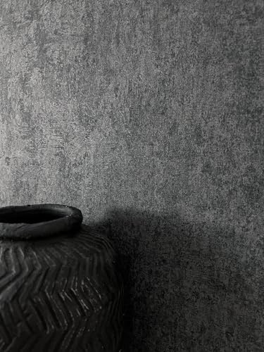 Newroom Vliestapete Anthrazit Uni Betonoptik Tapete Wohnzimmer Flur | Changierender Wolkeneffekt, raue Putzstruktur, tiefdunkler Loftlook, industrial modern, Tapeten für Schlafzimmer und Büro