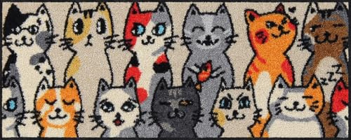 Salonloewe Minimatte Kitty People I Schmutzfangmatte & Fußabtreter für Innen 30 x 75 cm