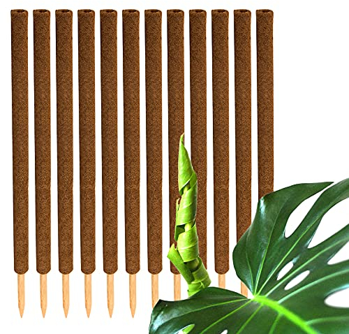 BigDean 12er Set Pflanzstäbe Kokos 110 cm - Monstera Rankhilfe Rankstäbe Stab Moosstäbe Pflanzenstäbe Kokosstäbe für Pflanzen - aus natürlicher Kokosfaser - verlängerbar