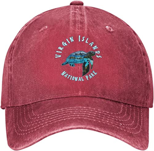 Lsjuee Virgin Islands National Park Retro-Sport-Denim-Kappe
